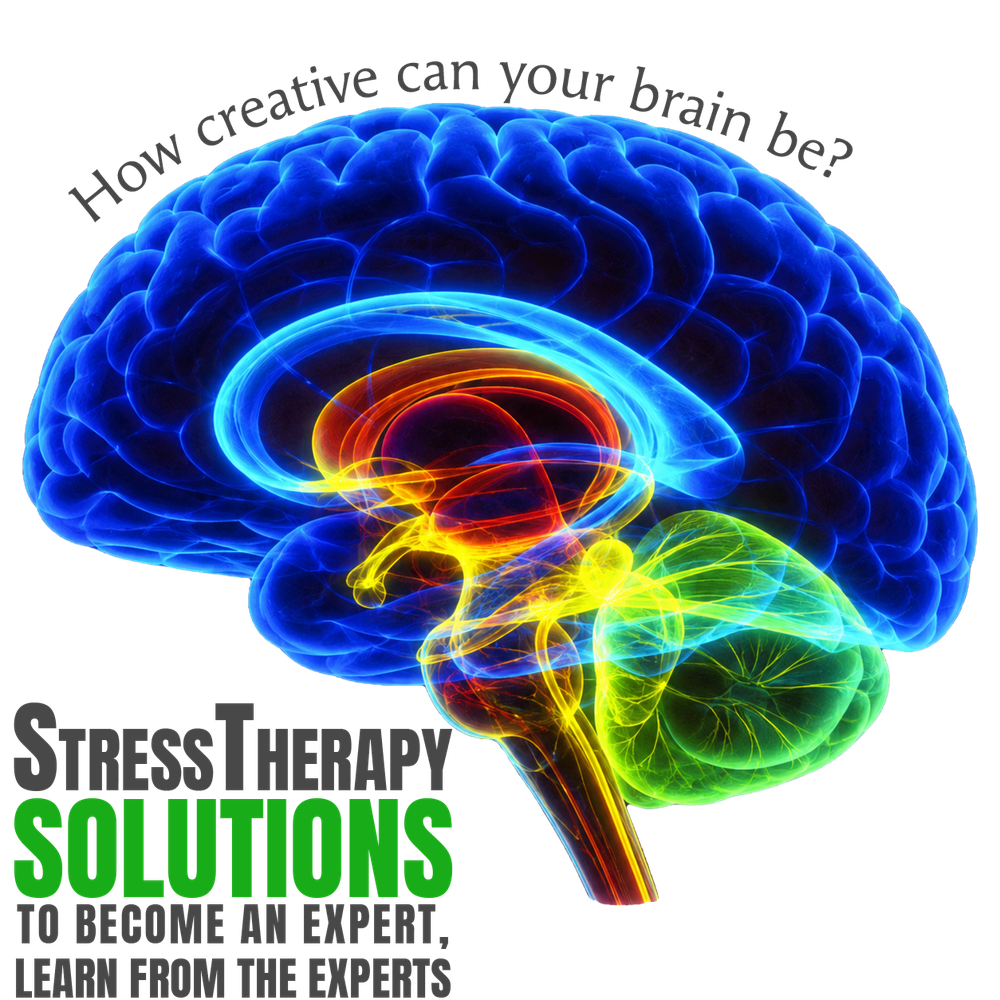 StressTherapy Solutions — How creative can your brain be? To become an expert, learn from the experts.